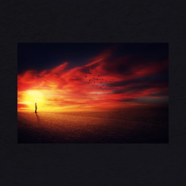 scenic sunset silhouette by 1STunningArt